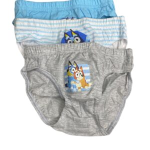 calzoncillo bluey