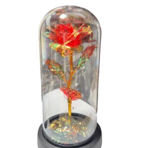 cupula de rosa eterna