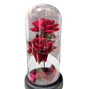 cupula de rosa eterna