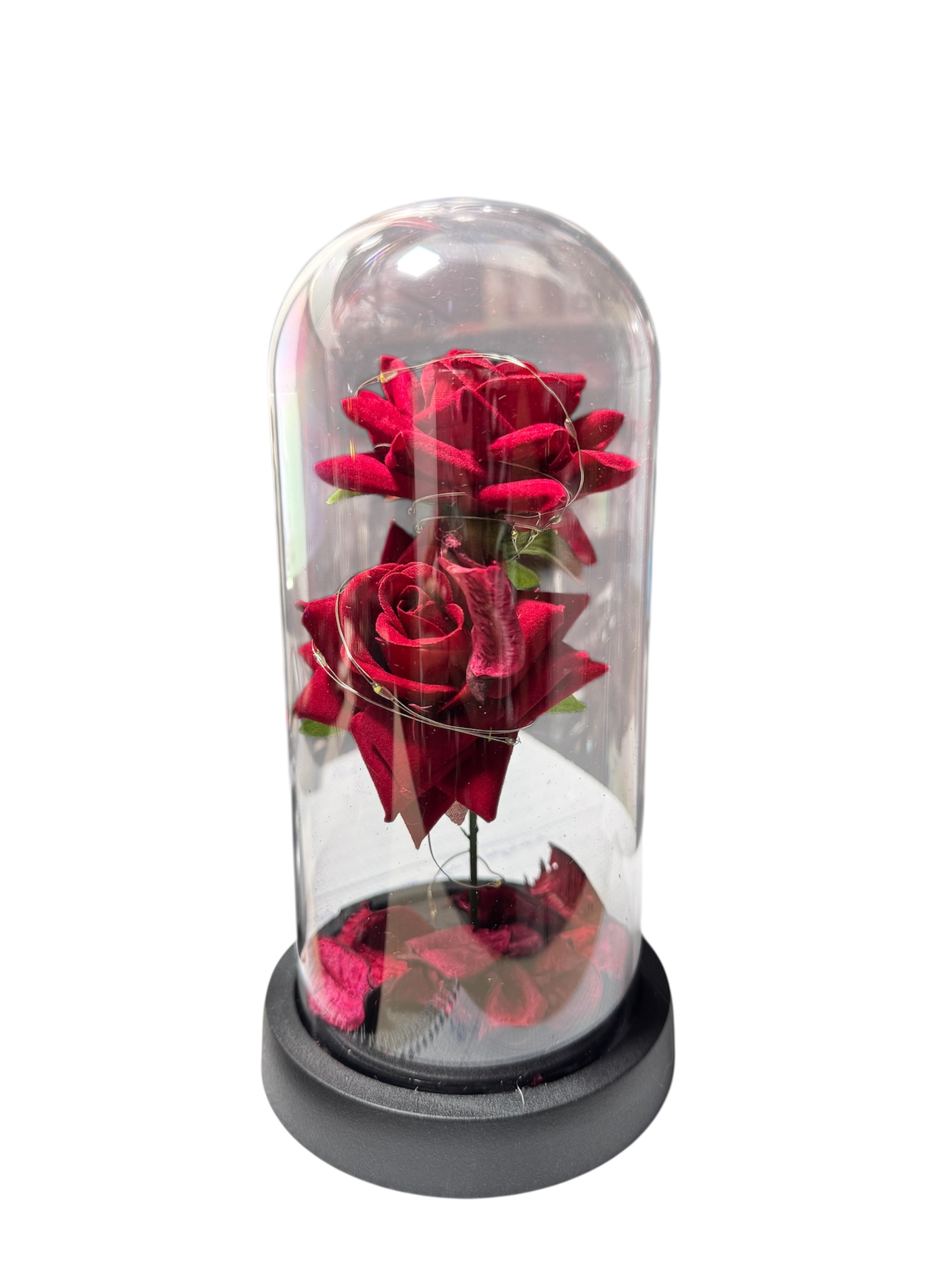 cupula de rosa eterna cupula de rosa eterna