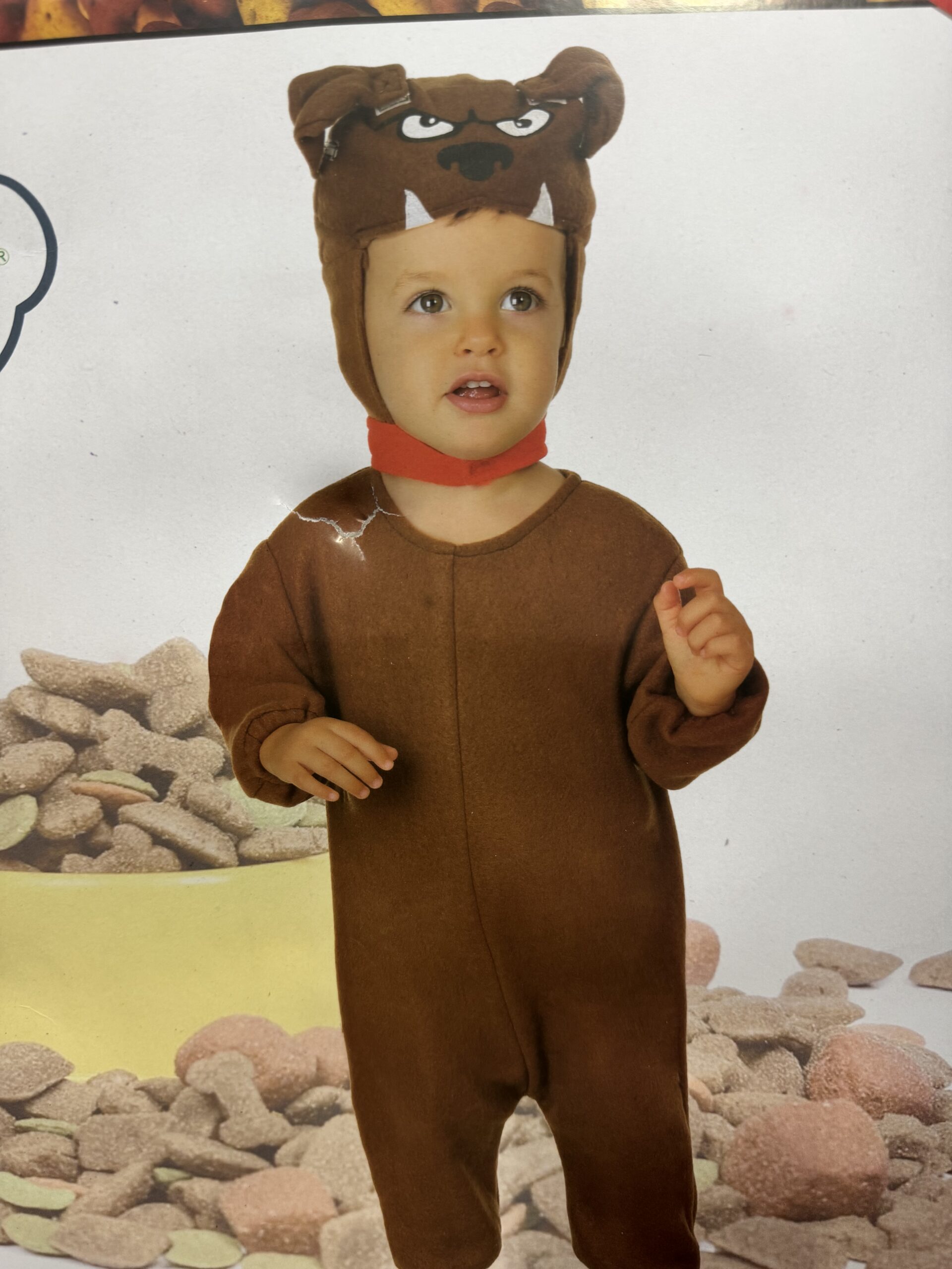 oso gomoso oso gomoso